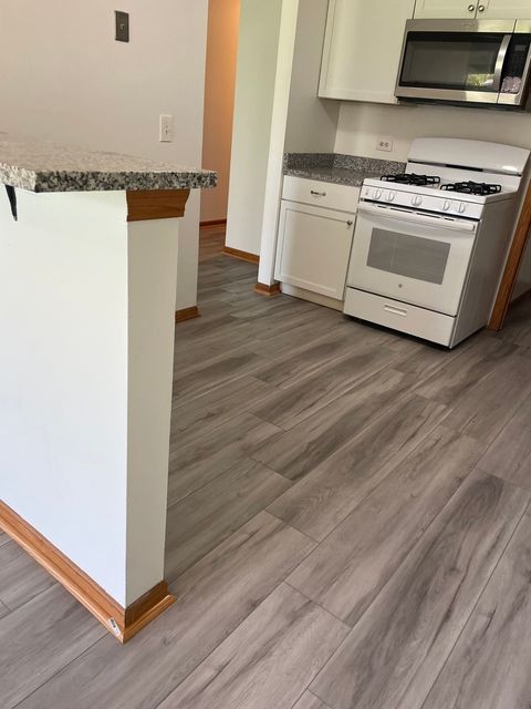 Tiny photo for 205 Glasgow Lane #V1, Schaumburg, IL 60194 (MLS # 12415259)
