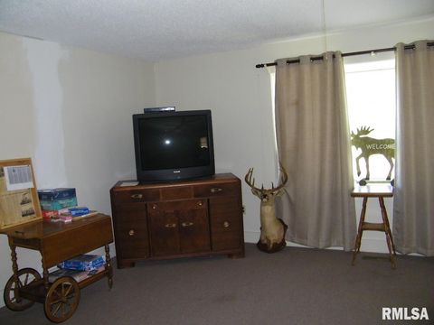 Tiny photo for 1073 Bay City Road, Golconda, IL 62938 (MLS # EB440889)