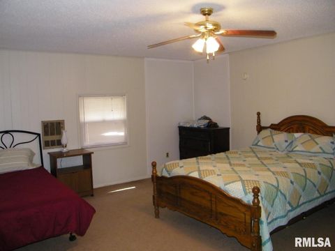 Tiny photo for 1073 Bay City Road, Golconda, IL 62938 (MLS # EB440889)