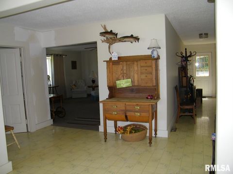 Tiny photo for 1073 Bay City Road, Golconda, IL 62938 (MLS # EB440889)