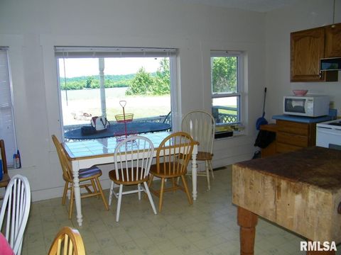 Tiny photo for 1073 Bay City Road, Golconda, IL 62938 (MLS # EB440889)