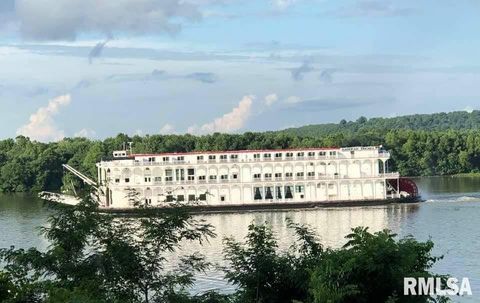 Tiny photo for 1073 Bay City Road, Golconda, IL 62938 (MLS # EB440889)