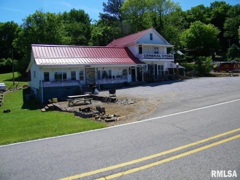 Tiny photo for 1073 Bay City Road, Golconda, IL 62938 (MLS # EB440889)