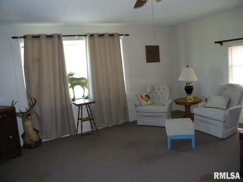 Tiny photo for 1073 Bay City Road, Golconda, IL 62938 (MLS # EB440889)