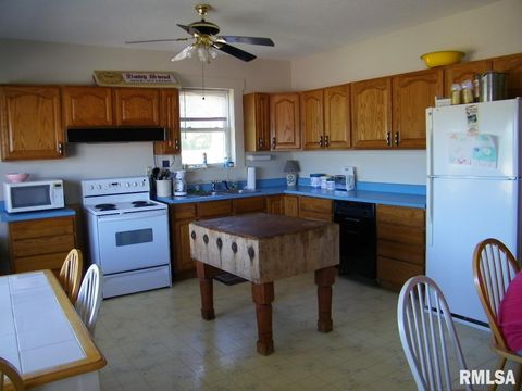 Tiny photo for 1073 Bay City Road, Golconda, IL 62938 (MLS # EB440889)