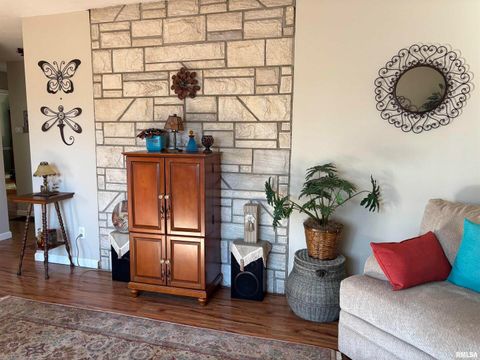 Tiny photo for 210 APPLE Lane, Anna, IL 62906 (MLS # EB460807)