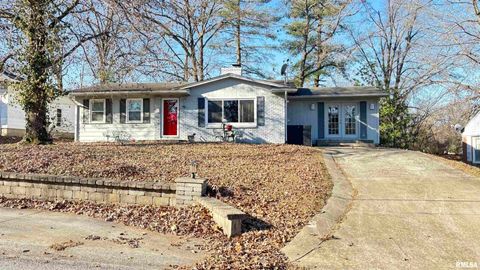 Tiny photo for 210 APPLE Lane, Anna, IL 62906 (MLS # EB460807)