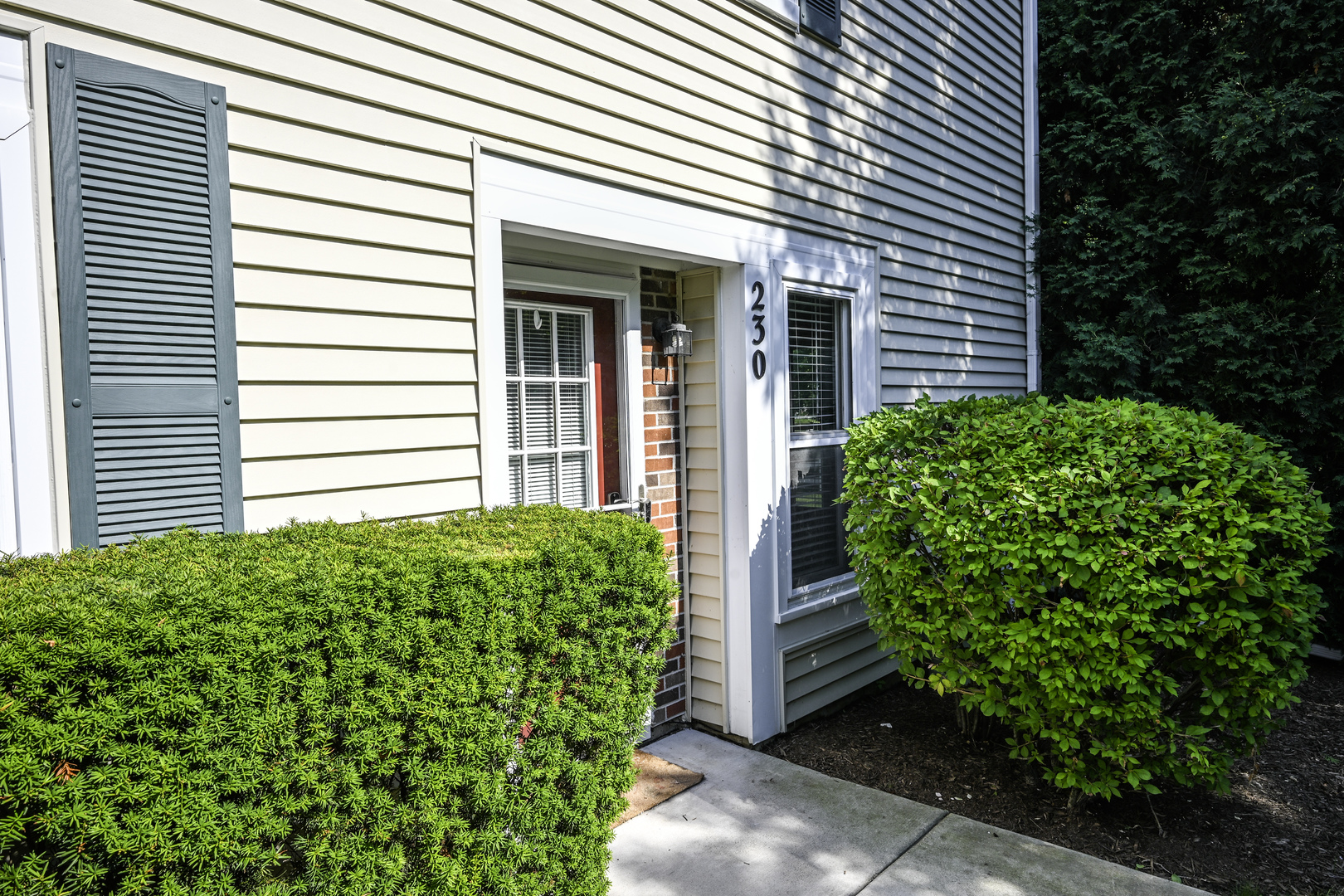 230 University Lane