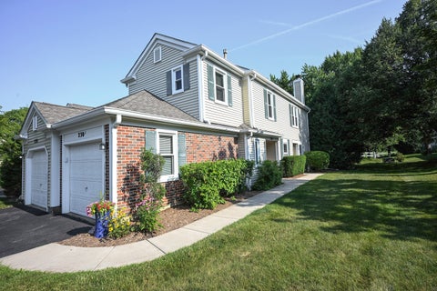 Tiny photo for 230 University Lane, Elk Grove Village, IL 60007 (MLS # 12702953)
