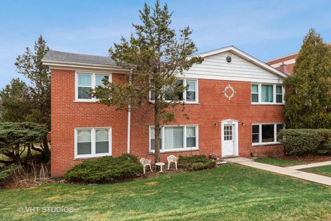 Photo of 235 W Johnson Street #1B, Palatine, IL 60067 (MLS # 12559313)