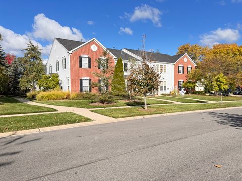 368 S Litchfield Drive Round Lake IL 60073