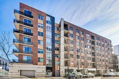 873 N LARRABEE Street 509 Chicago IL 60610