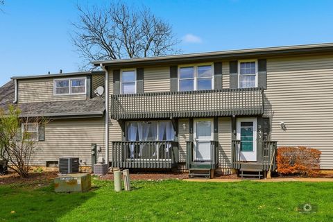 Photo of 226 Elkhorn Court #B, Bolingbrook, IL 60440 (MLS # 12620400)