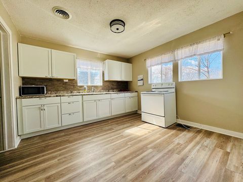 Tiny photo for 103 E North Street, Sesser, IL 62884 (MLS # 12574533)