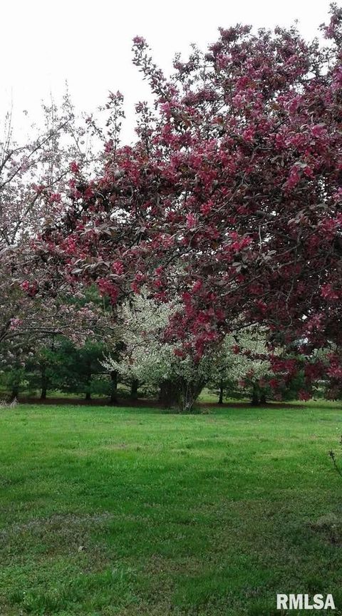 Tiny photo for 1100 MOORE Street, Eldorado, IL 62930 (MLS # EB460563)