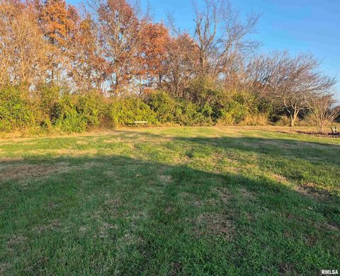 Tiny photo for 1100 MOORE Street, Eldorado, IL 62930 (MLS # EB460563)