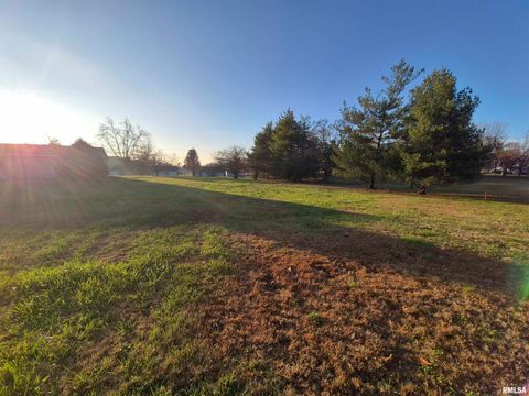 Tiny photo for 1100 MOORE Street, Eldorado, IL 62930 (MLS # EB460563)