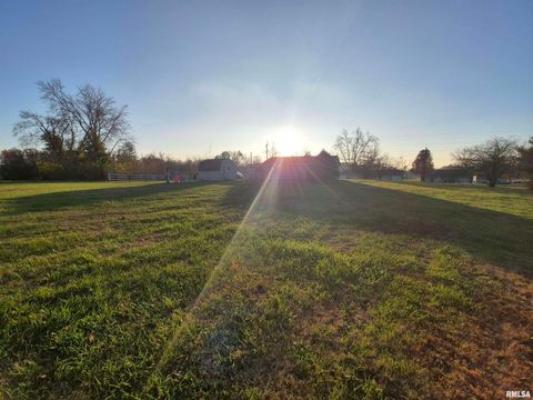 Tiny photo for 1100 MOORE Street, Eldorado, IL 62930 (MLS # EB460563)