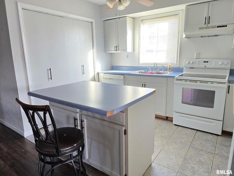 Tiny photo for 1100 MOORE Street, Eldorado, IL 62930 (MLS # EB460563)