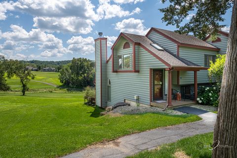 Photo of 20 Spring Creek Lane, Galena, IL 61036 (MLS # 12442982)