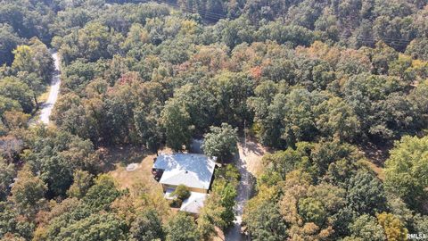 Tiny photo for 135 Tatia Drive, Goreville, IL 62896 (MLS # EB459776)