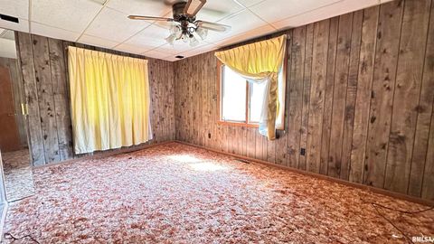 Tiny photo for 135 Tatia Drive, Goreville, IL 62896 (MLS # EB459776)