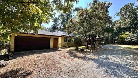 Tiny photo for 135 Tatia Drive, Goreville, IL 62896 (MLS # EB459776)