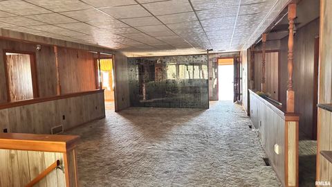 Tiny photo for 135 Tatia Drive, Goreville, IL 62896 (MLS # EB459776)