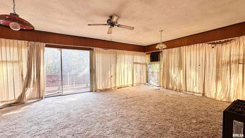 Tiny photo for 135 Tatia Drive, Goreville, IL 62896 (MLS # EB459776)