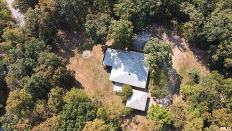 Tiny photo for 135 Tatia Drive, Goreville, IL 62896 (MLS # EB459776)