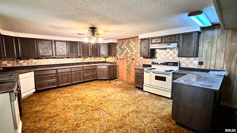 Tiny photo for 135 Tatia Drive, Goreville, IL 62896 (MLS # EB459776)