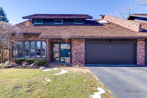 8 Lucas Drive Palos Hills IL 60465