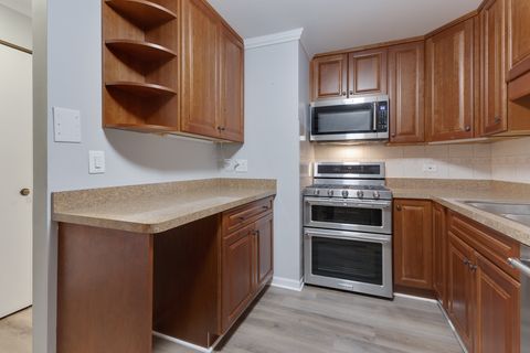 Tiny photo for 540 Biesterfield Road #B315, Elk Grove Village, IL 60007 (MLS # 12507098)