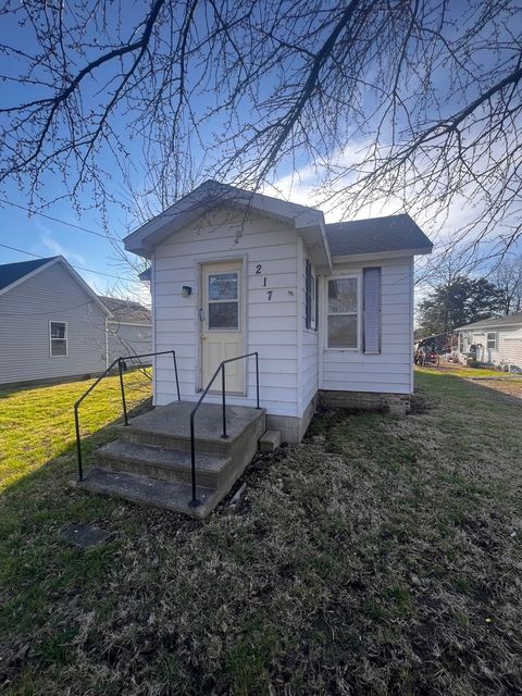Tiny photo for 217 S Missouri Street, Atwood, IL 61913 (MLS # 12581685)