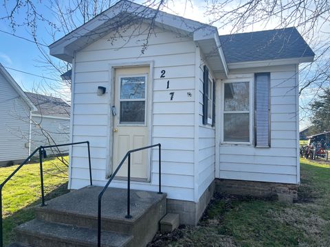 Photo of 217 S Missouri Street, Atwood, IL 61913 (MLS # 12581685)