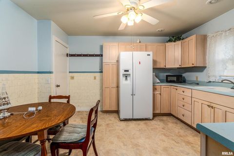 Tiny photo for 2320 McCord Street, Murphysboro, IL 62966 (MLS # EB460712)