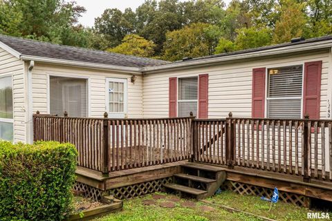 Tiny photo for 5340 Highway 45 S, Harrisburg, IL 62946 (MLS # QC4268977)