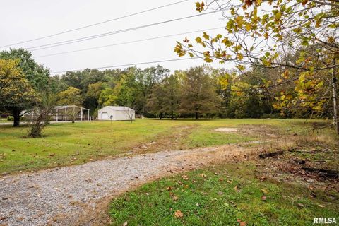 Tiny photo for 5340 Highway 45 S, Harrisburg, IL 62946 (MLS # QC4268977)