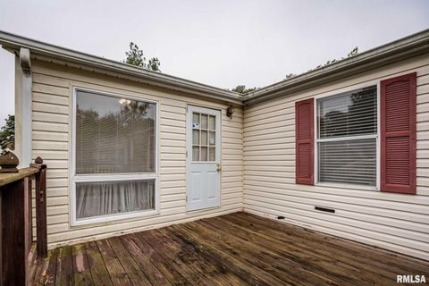 Tiny photo for 5340 Highway 45 S, Harrisburg, IL 62946 (MLS # QC4268977)