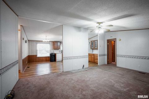 Tiny photo for 5340 Highway 45 S, Harrisburg, IL 62946 (MLS # QC4268977)