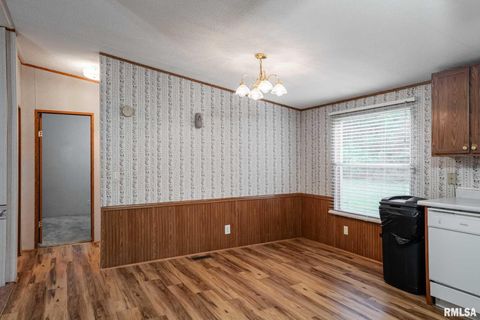 Tiny photo for 5340 Highway 45 S, Harrisburg, IL 62946 (MLS # QC4268977)