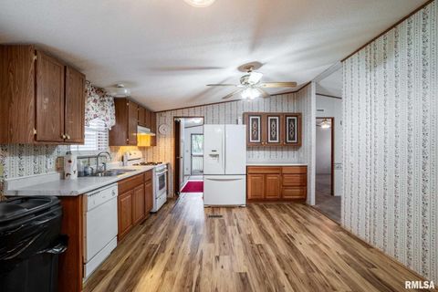 Tiny photo for 5340 Highway 45 S, Harrisburg, IL 62946 (MLS # QC4268977)