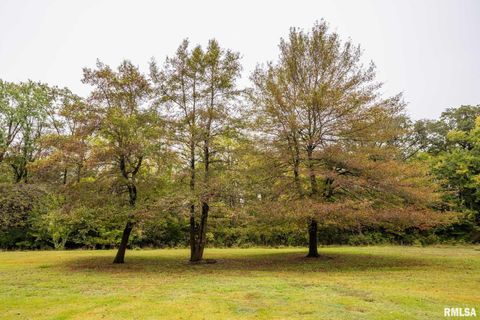 Tiny photo for 5340 Highway 45 S, Harrisburg, IL 62946 (MLS # QC4268977)