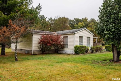 Tiny photo for 5340 Highway 45 S, Harrisburg, IL 62946 (MLS # QC4268977)