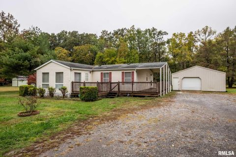 Tiny photo for 5340 Highway 45 S, Harrisburg, IL 62946 (MLS # QC4268977)