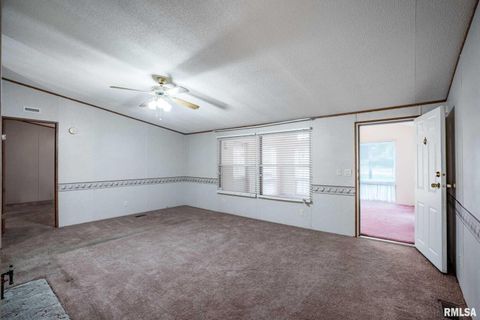 Tiny photo for 5340 Highway 45 S, Harrisburg, IL 62946 (MLS # QC4268977)