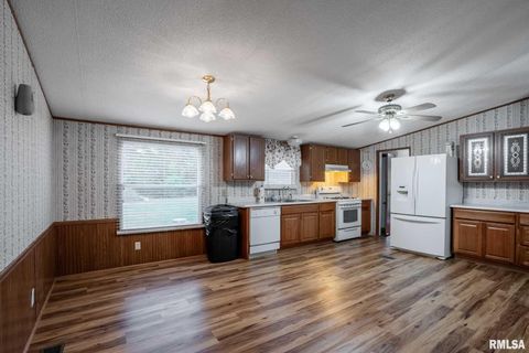 Tiny photo for 5340 Highway 45 S, Harrisburg, IL 62946 (MLS # QC4268977)