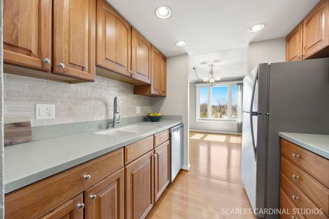 Tiny photo for 1 Renaissance Place #201, Palatine, IL 60067 (MLS # 12599927)