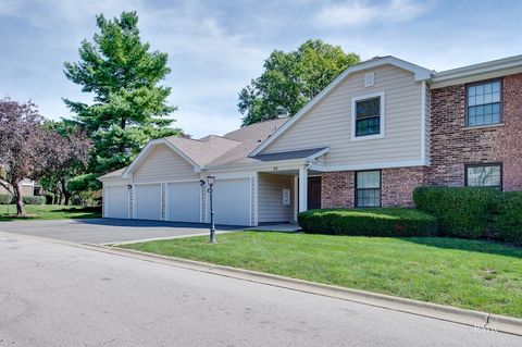 Photo of 85 Marble Hill Court #A1, Schaumburg, IL 60193 (MLS # 12458999)