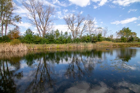 Tiny photo for 6840 W Winding Trail #301, Oak Forest, IL 60452 (MLS # 12782522)